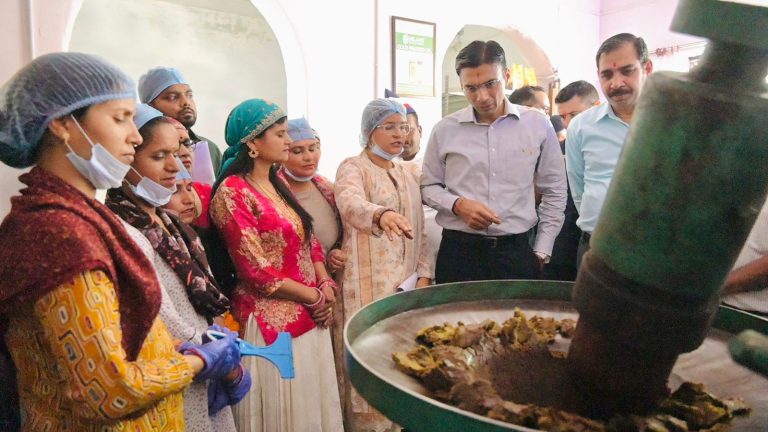 महिला स्वयं सहायता समूहों को उपलब्ध कराया जाएगा आनलाइन बाजार