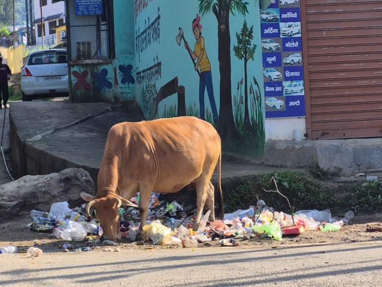राजधानी गैरसैंण में कूड़ेदान गायब, कूड़ा हाजिर, सफाई व्यवस्था पर उठे सवाल